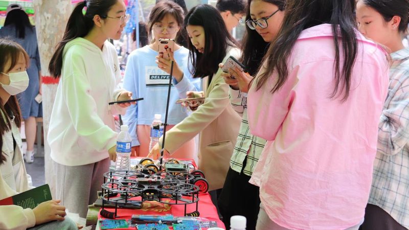 轻松掌握数据可视化：Excel教程之安装步骤详解